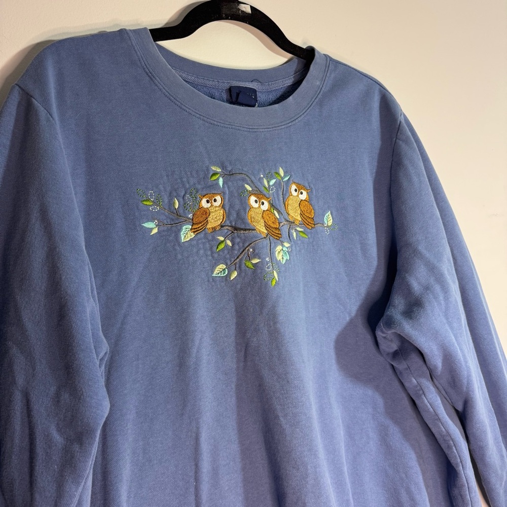 Blue Owl Embroidered Sweatshirt Cottagecore Plus Size 2X